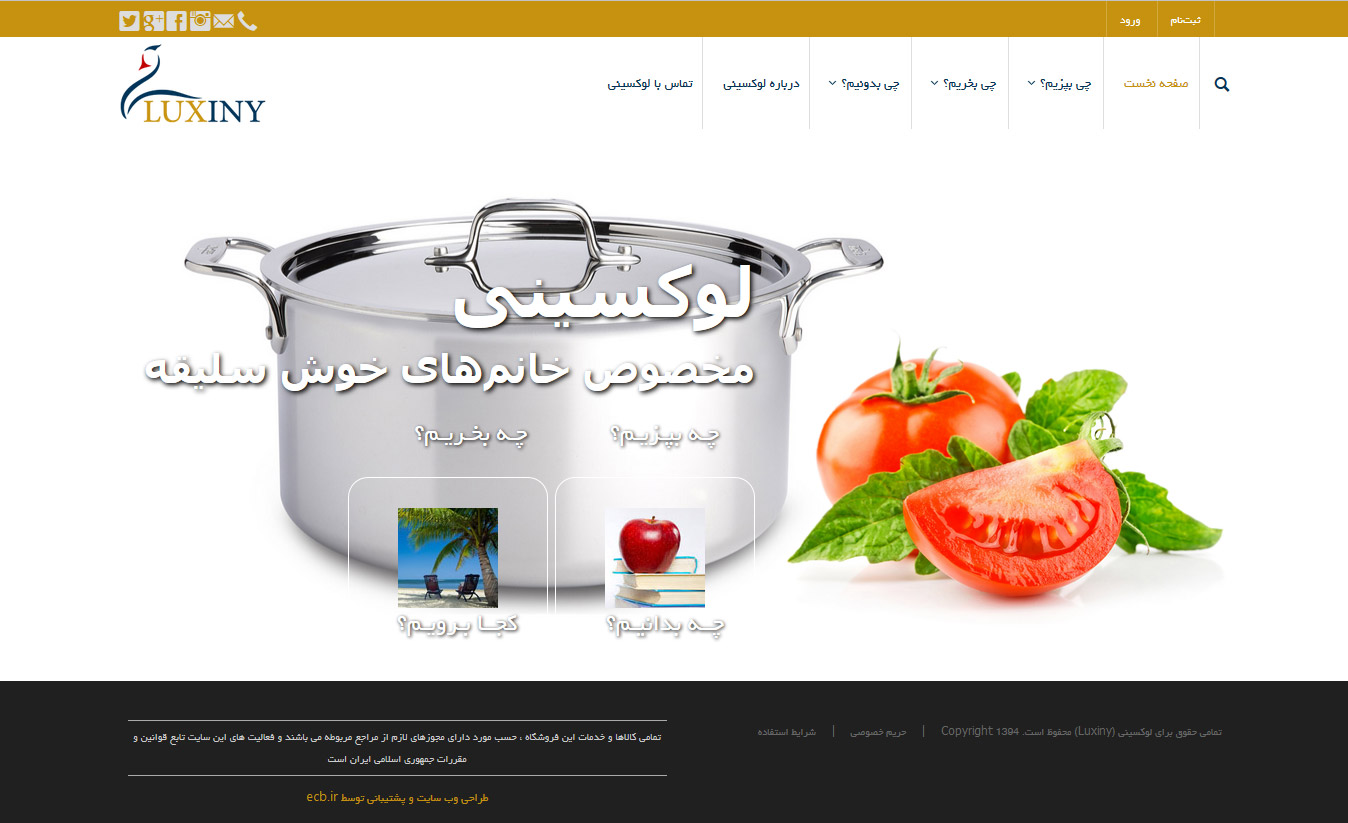 تصویری از صفحه نخست وب‌سایت شرکت تولید لوازم آشپزخانه لوکسینی